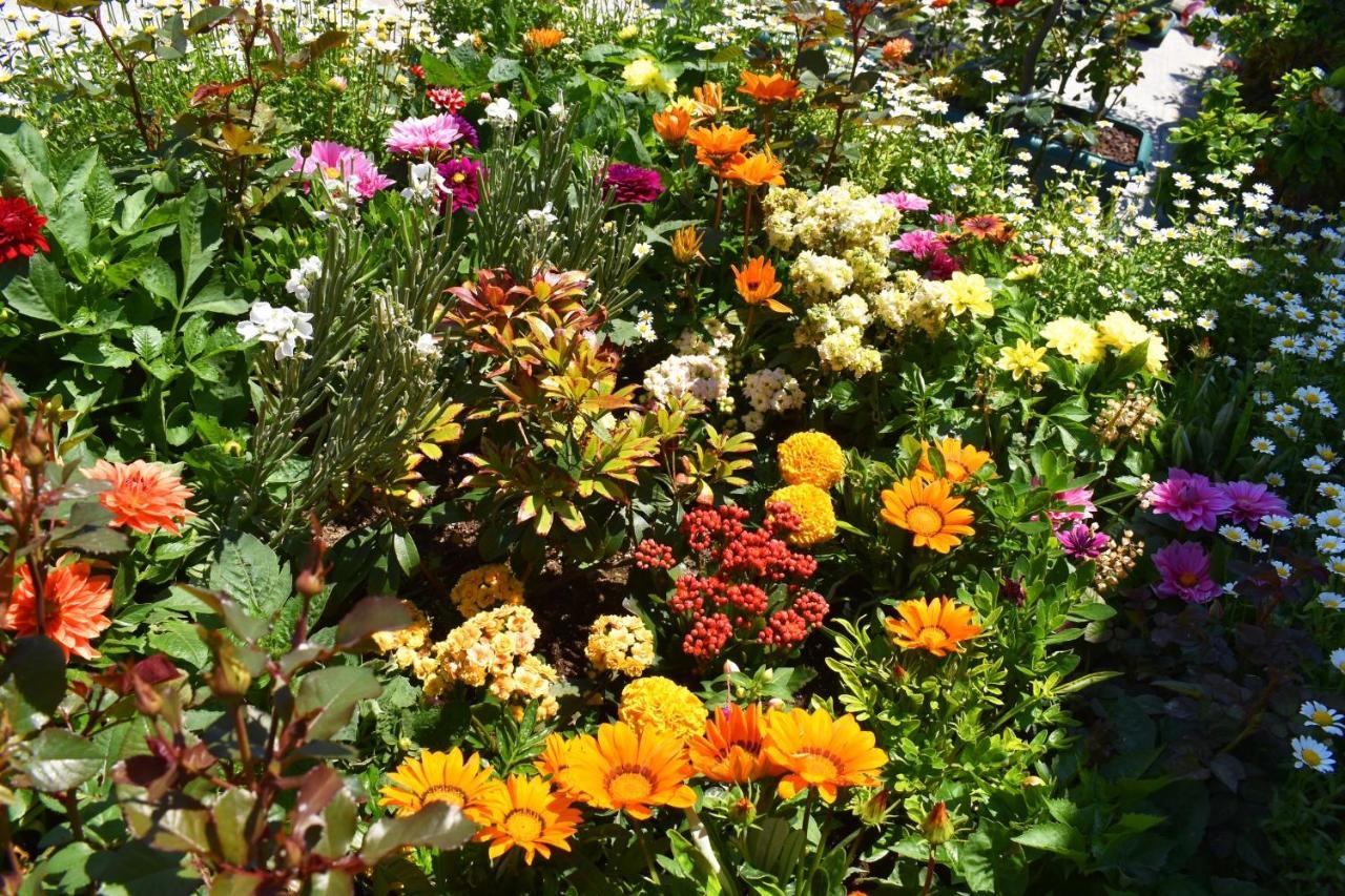 Hotel Garden Terrace Old Istanbul Exteriör bild